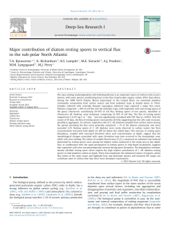 Major contribution of diatom resting spores to vertical flux in the sub