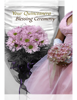 You made Julie`s Quinceanera so beautiful