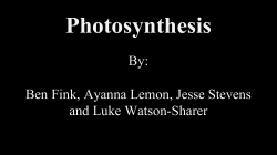 Photosynthesis - Science Leadership Academy