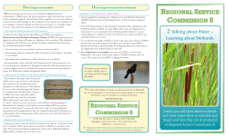 2 Talking about Water &ndash; Learning about Wetlands