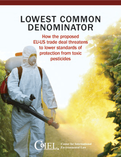 Lowest Common Denominator: How the EU