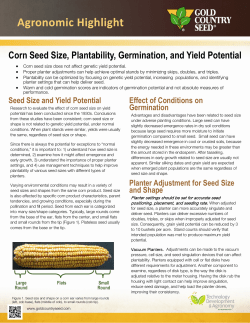 Corn Seed Size, Plantability, Germination, and Yield Potential