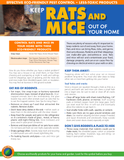 effective eco-friendly Pest control &bull; less