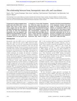 The relationship between bone, hemopoietic stem