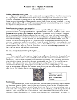 Chapter Five: Phylum Nematoda