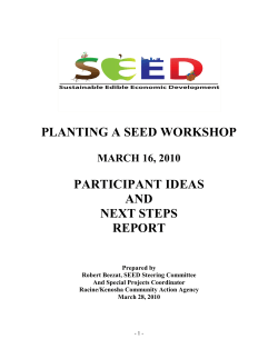 planting a seed workshop participant ideas and next steps report