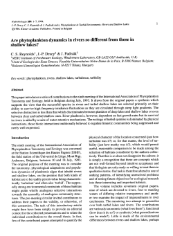 Are phytoplankton dynamics in rivers so different from those in