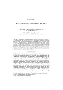 chapter 8 photosynthesis and carbon balance