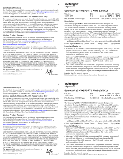 Gateway&reg; pCMV&bull;SPORT6, Not I-Sal I Cut