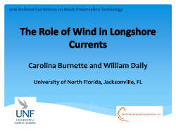 The Role of Wind in Longshore Transport
