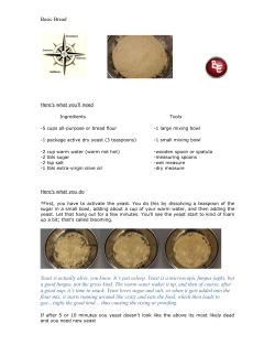 1 package active dry yeast (2 teaspoons)