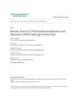 Intronic Non-CG DNA hydroxymethylation and alternative mRNA