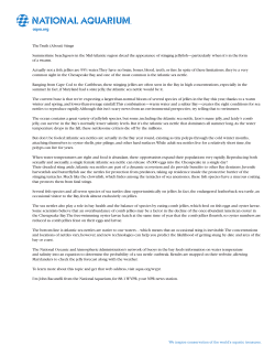 aqua.org The Truth (About) Stings Summertime beachgoers in the