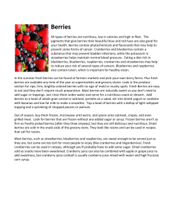 Berries - stpetercommunityedonline.com