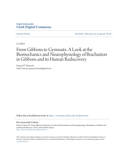 From Gibbons to Gymnasts - Clark Digital Commons