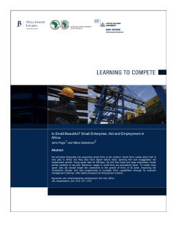 Is Small Beautiful? Small Enterprise, Aid and Employment in Africa
