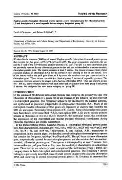 Nucleic Acids Research In the photosynthetic protist, Euglena