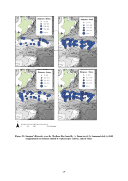 Figure 21: Simpson`s Diversity over the Chatham Rise found by (a