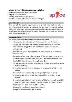 Make stringy DNA molecules visible - Spice