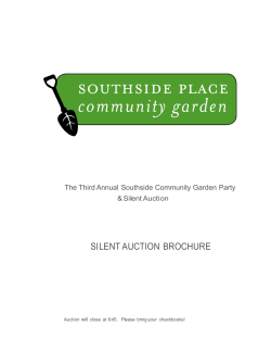 SILENT AUCTION BROCHURE