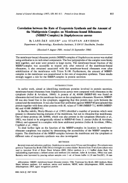 Correlation between the Rate of Exoprotein Synthesis