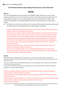 HERE - No Brain Too Small