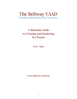 A Halachik Guide to Cleaning and Kashering for Pesach