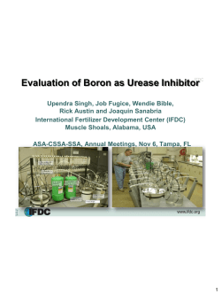 Evaluation of Boron as Urease Inhibitor