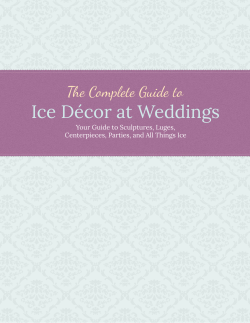 Ice D&eacute;cor at Weddings