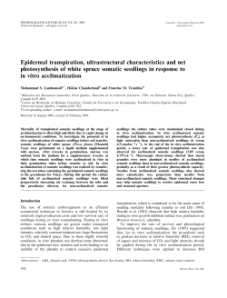 Epidermal transpiration, ultrastructural characteristics and