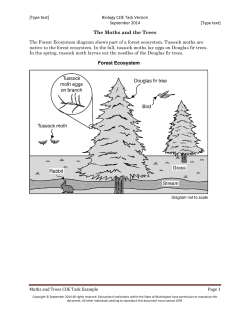 The Moths and the Trees