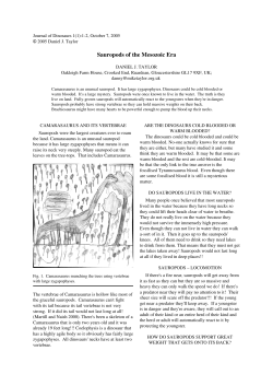 Sauropods of the Mesozoic Era