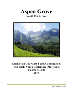 planning guide for successful youth conferences