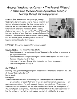 George Washington Carver &ndash; The Peanut Wizard