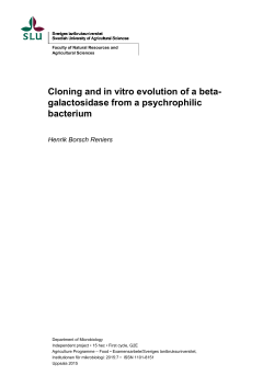 Cloning and in vitro evolution of a beta