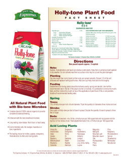 Holly-tone Plant Food