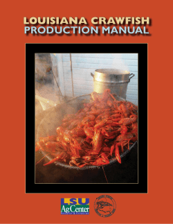 louisiana crawfish production manual