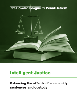 Intelligent Justice