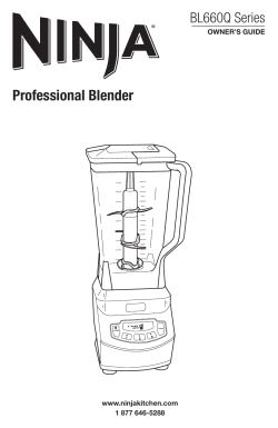 Professional Blender