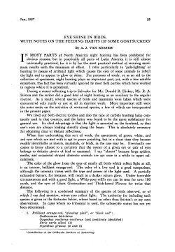 Eye Shine in Birds, with Notes on the Feeding Habits of some