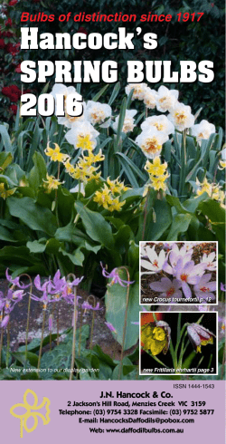 spring bulbs catalogue