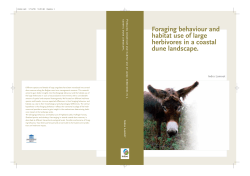 Foraging behaviour and habitat use of large herbivores in a coastal