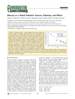 Mercury as a Global Pollutant: Sources