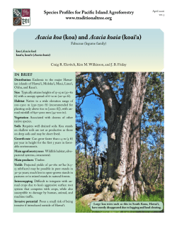 Acacia koa (koa) and Acacia koaia (koai`a)