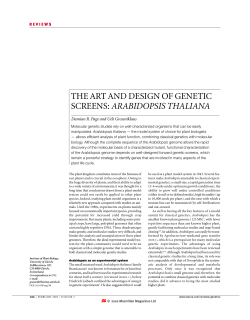 the art and design of genetic screens:arabidopsis thaliana
