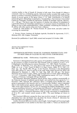 Differences between Nearctic Pammene perstructana and its most