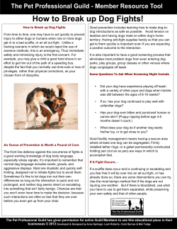 How To Break Up Dog Fights! - The Pet Professional Guild