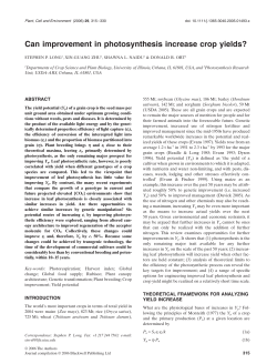 Can improvement in photosynthesis increase