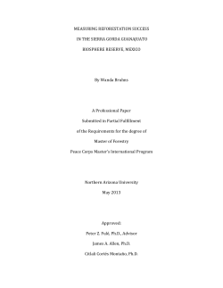 MEASURING REFORESTATION SUCCESS IN THE SIERRA