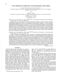 Crown releasing of red maple poles to shorten high